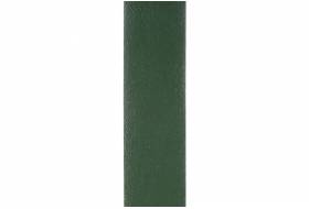 Biesband 18 mm kunstleder groen