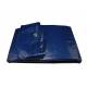 Thick tarpaulin sheet, 600x800cm, blue, heavy duty