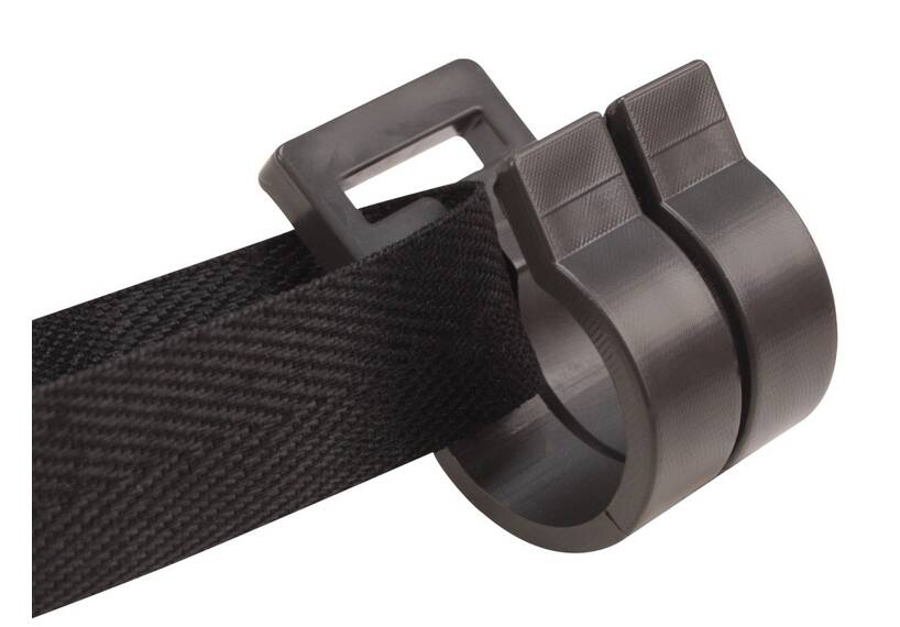 Isabella tentclip